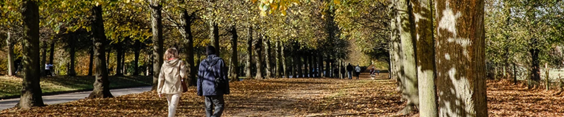 Fall in the park of the Palace of Versailles