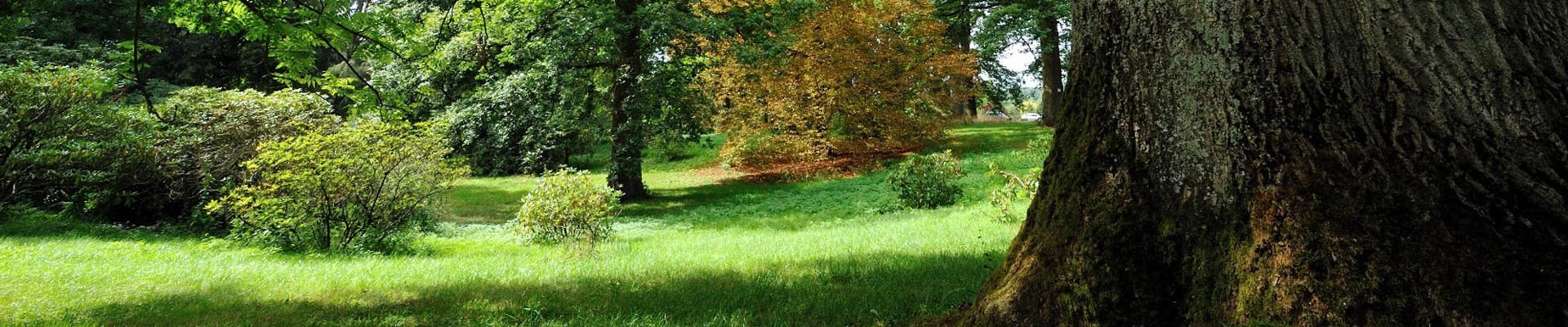 Arboretum de Chèvreloup