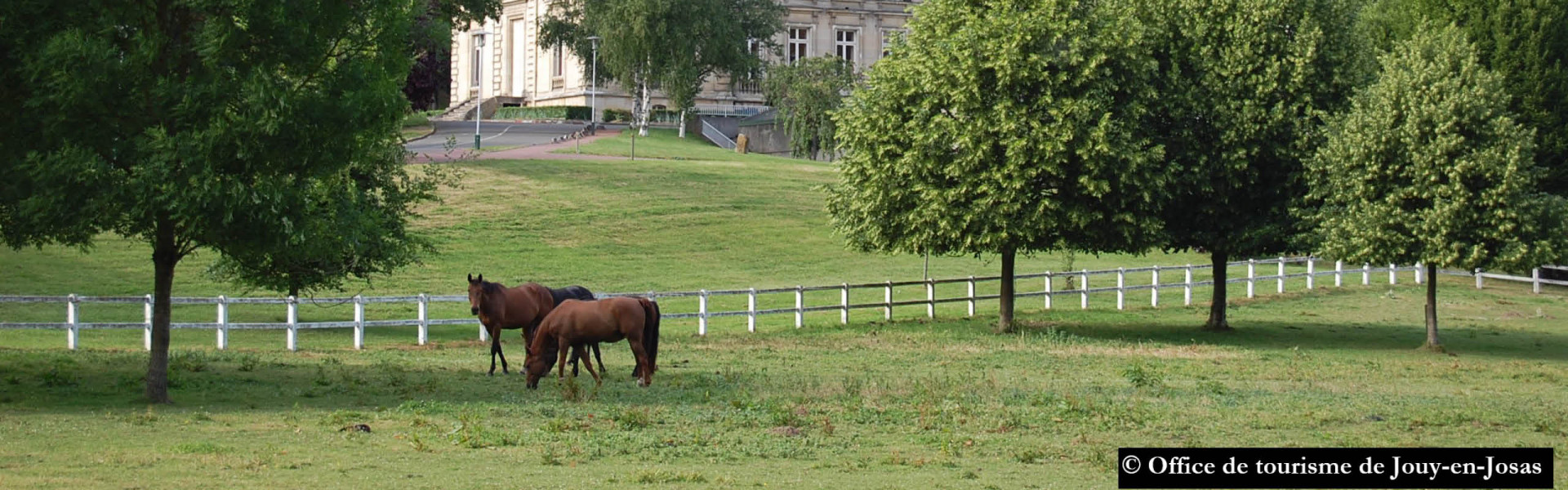 jouy-en-josas-2429