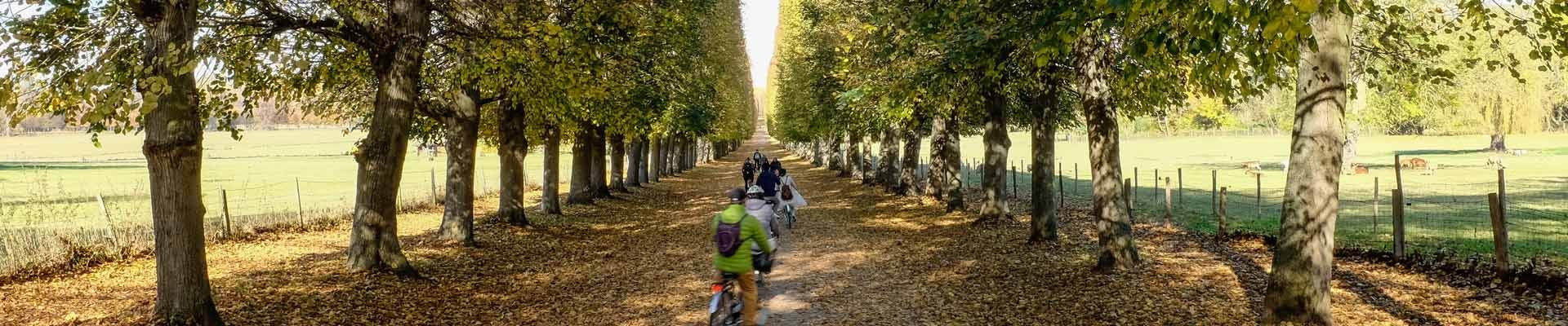 Autumn in Versailles