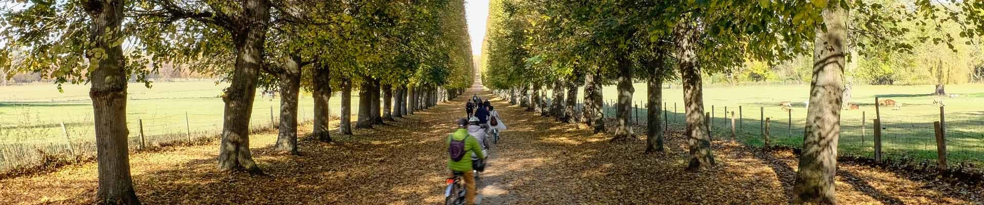 Versalles en otoño