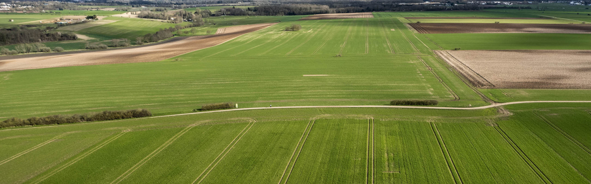Plaine de Versailles