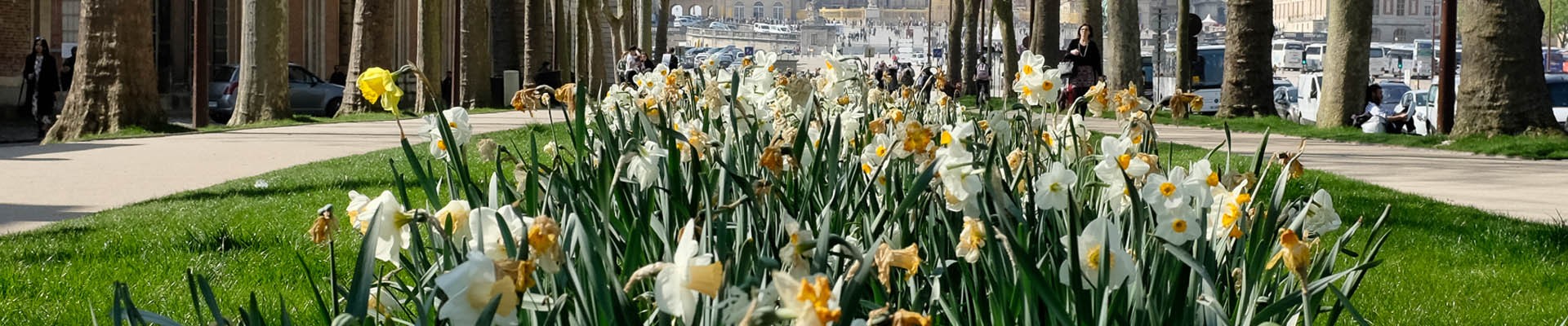 Versalles en la primavera