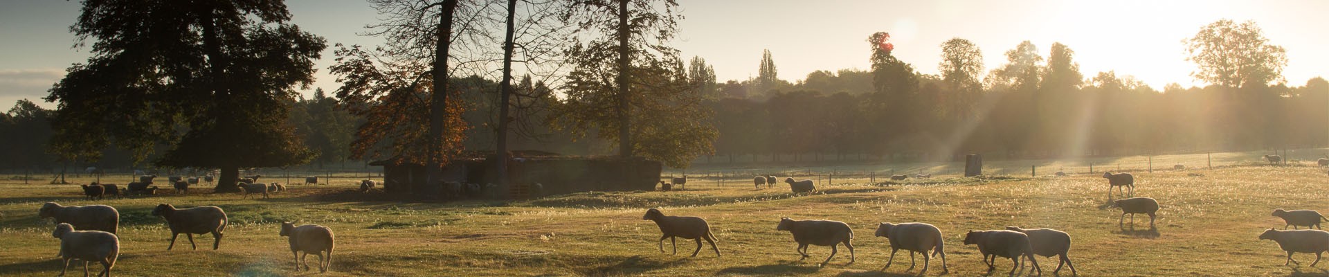 Visiter Versailles en 2 jours