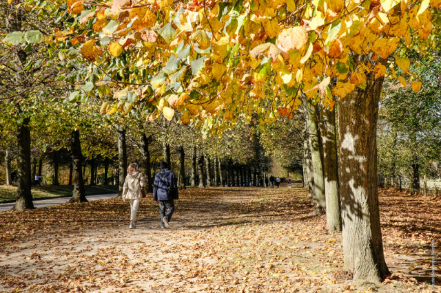 Press releases and press kit