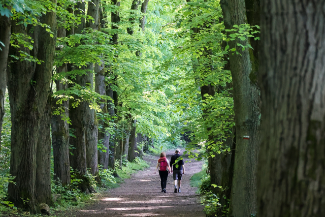 Walking tours & hikes