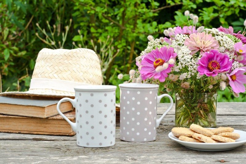 Animations sp&eacute;ciales