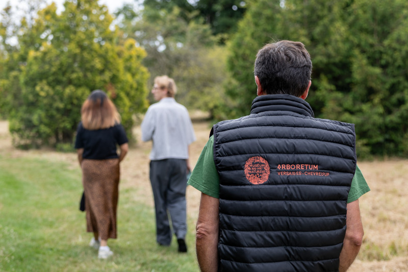 Balade nature Plaine de Versailles - Arboretum de Chevreloup