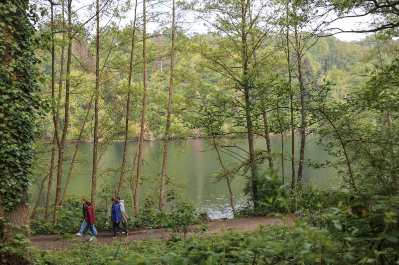 Paseos en la naturaleza en los Coteaux de Seine – Versalles Grand Parc