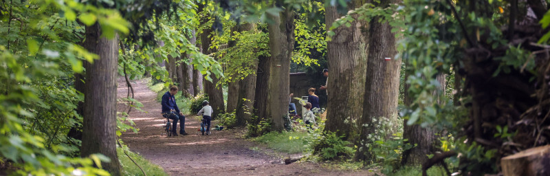 Paseo por la naturaleza en Bougival