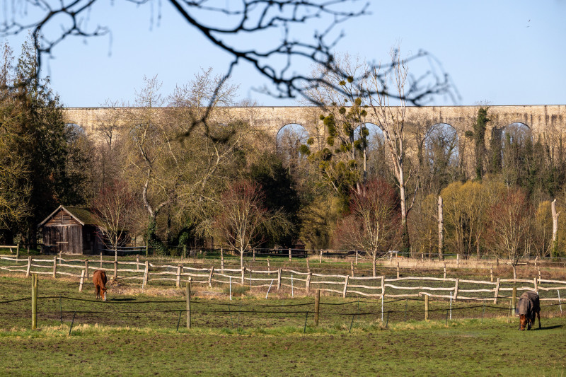 vall-e-de-la-bievre-balade-nature-2268