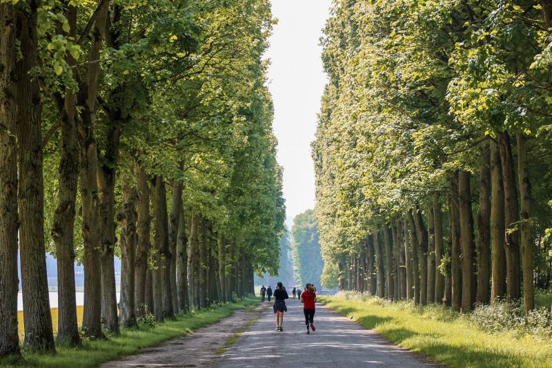 Versailles Balade Nature