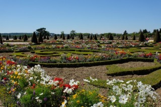 Gardens of the Palace of Versailles in bloom