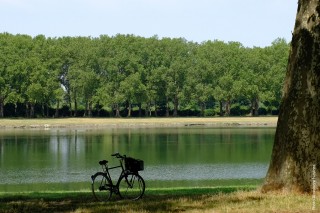 Revenir à Versailles en 2020