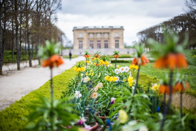 Fleurs devant le Petit Trianon au Château de Versailles