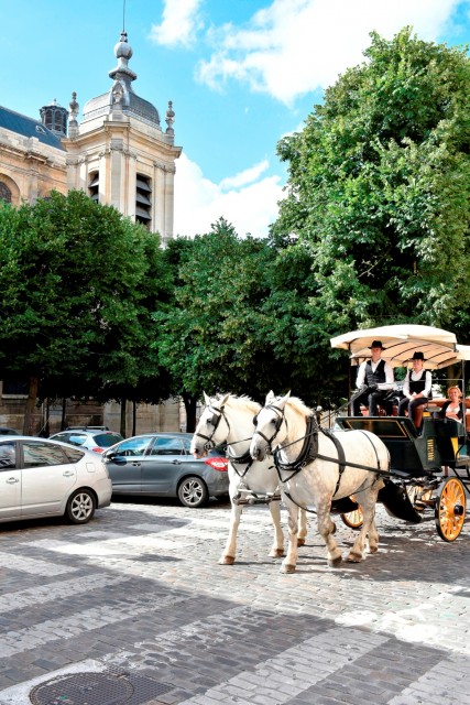 Touristes participant à une balade en calèche devant la cathédrale Saint-Louis en été à Versailles