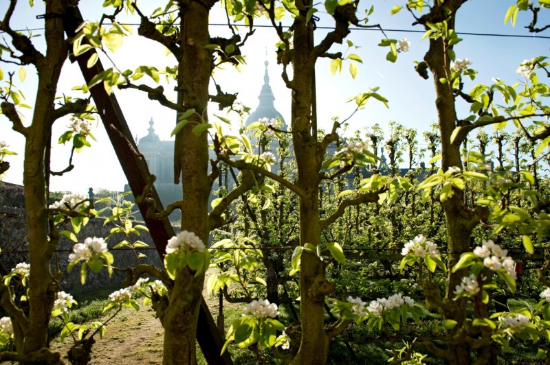 1920x1440-potager-du-roi-a-versailles-109-551