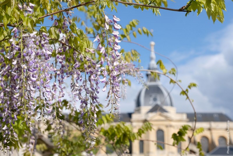 Versailles ville nature