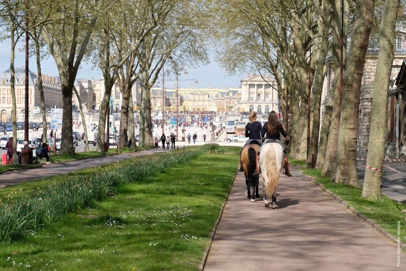 Balade à cheval à Versailles