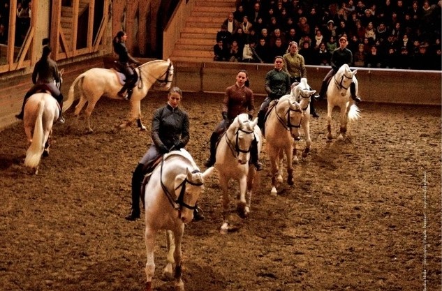 National Equestrian Academy of the Estate of Versailles