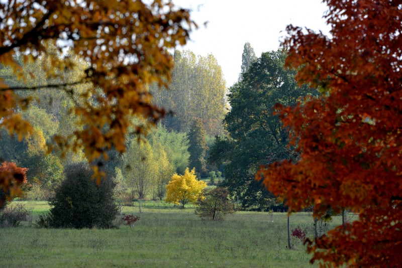 Arboretum de Chèvreloup