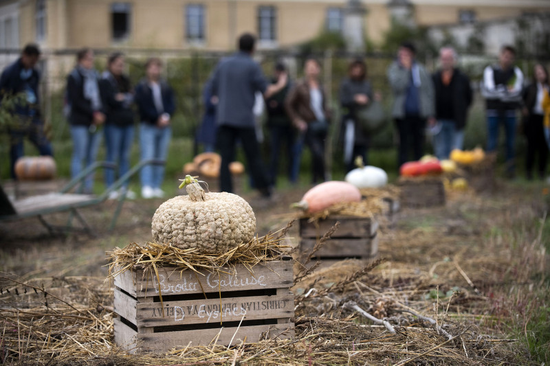 Automne au Potager du Roi