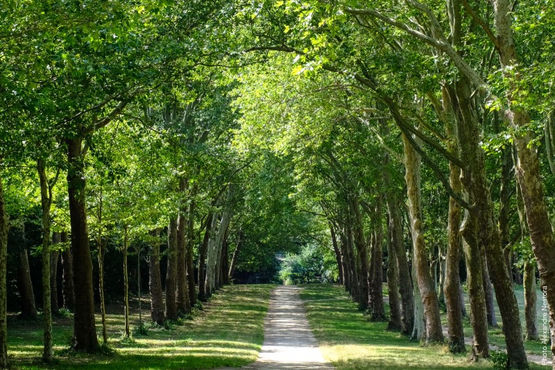 Versailles au vert