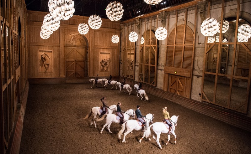 Carrousel-Académie Équestre de Versailles