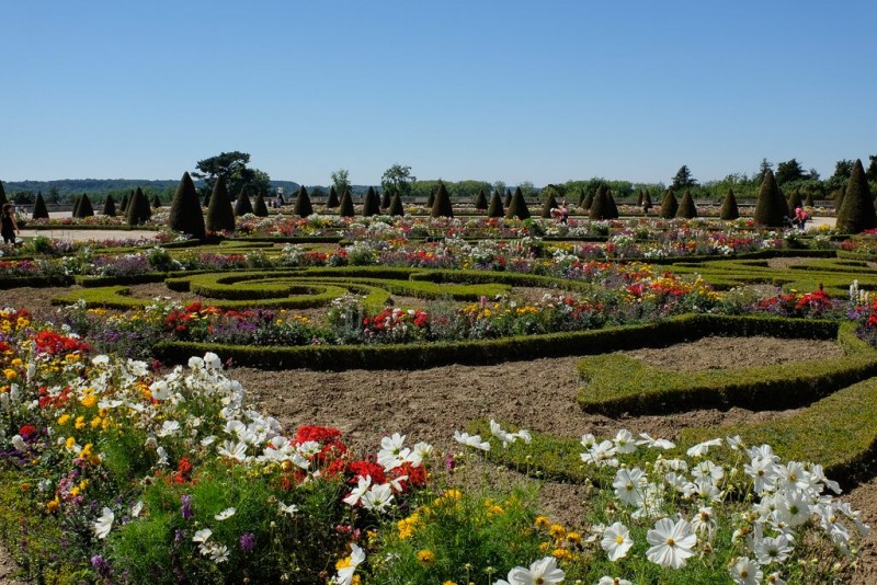 Jardins du château de Versailles en fleurs