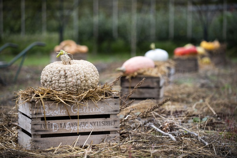 Halloween au Potager du Roi