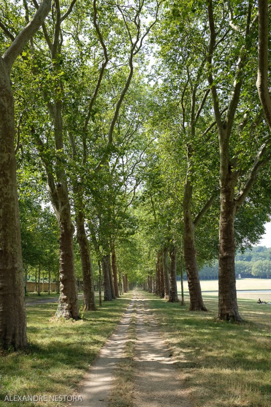 Pièce d'eau des Suisses