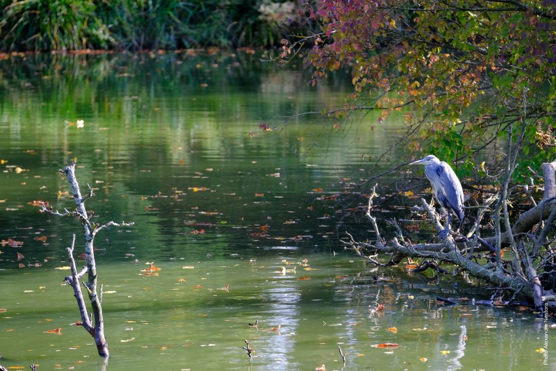 Parc Balbi