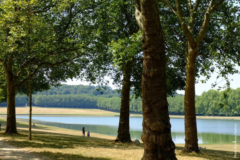 Pièce d'eau des Suisses