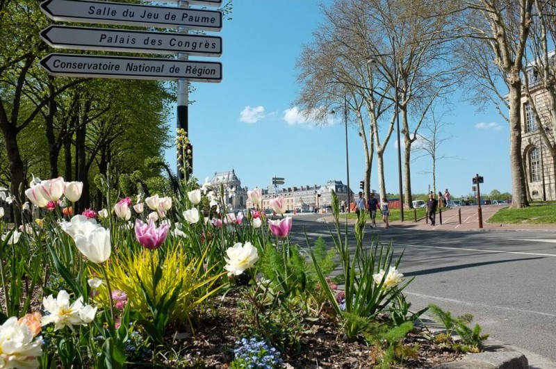 Vue sur le château des fleurs de l'Avenue de Sceaux