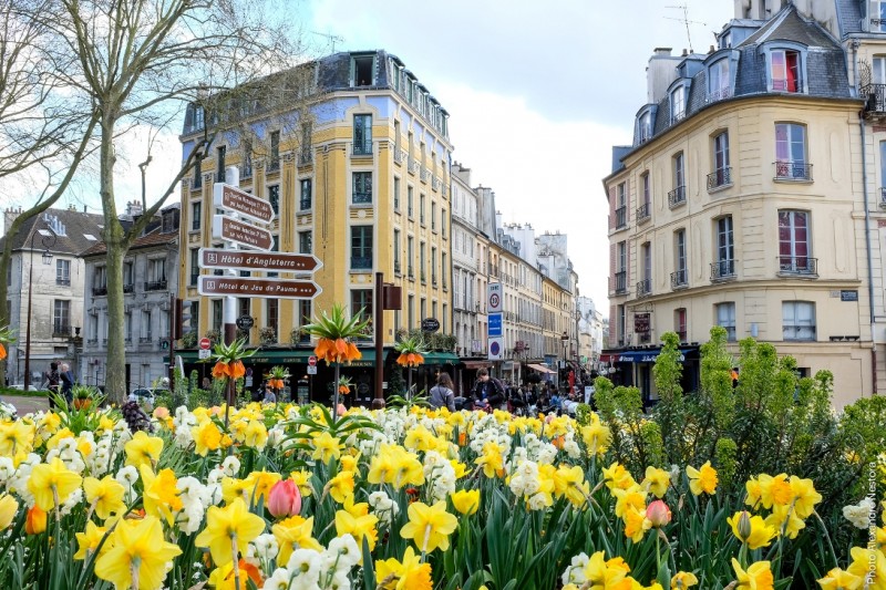 Rue de Satory à Versailles