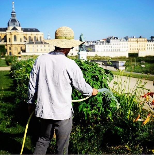 King's vegetable garden in Versailles