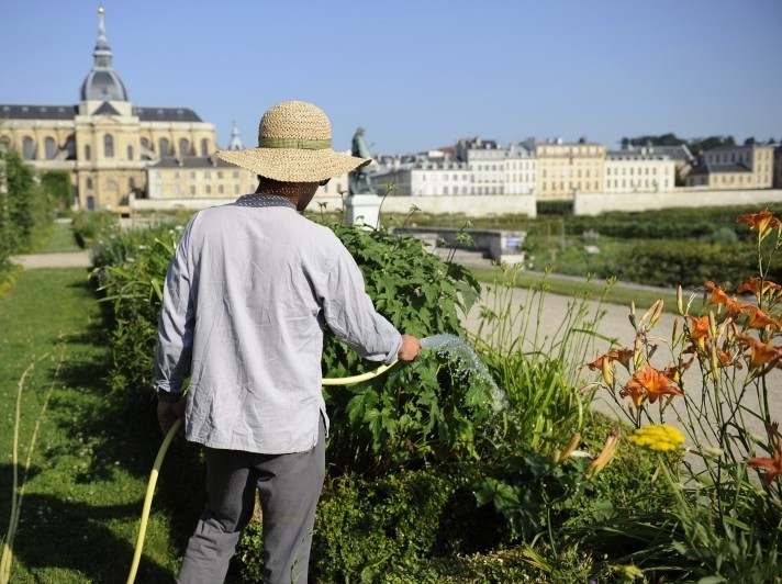 King's kitchen garden