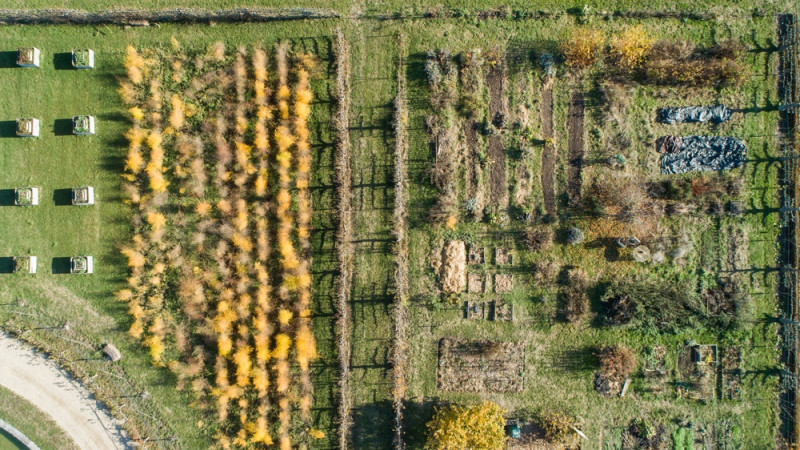 Potager du Roi vu du ciel