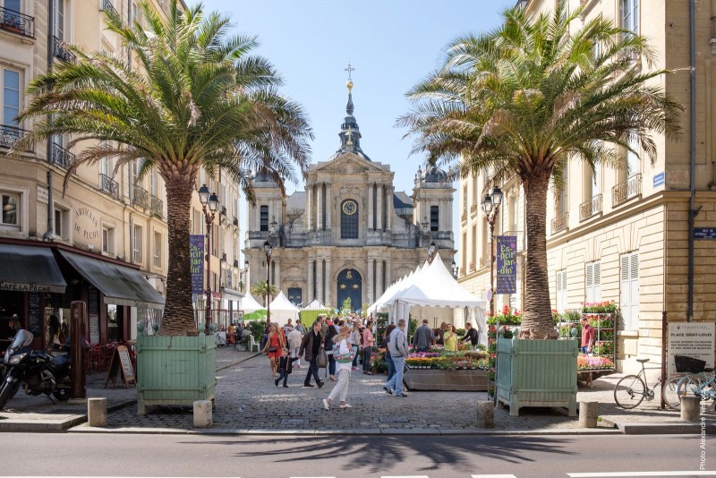 cathédrale saint louis