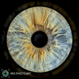 IRIS PHOTO ART