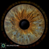 IRIS PHOTO ART