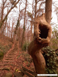 Chemin