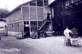 En 1900