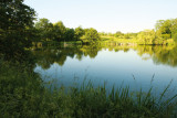 Etang
