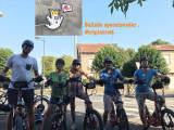 Trip in Trott