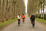 Holland Bikes - Versailles_Versailles - © Holland Bikes Holland Bikes - Versailles_Versailles