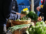 Potager du Roi