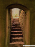 Entrée