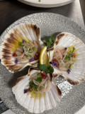 La Petite Boussole_Versailles