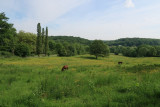 Bois des Loges-en-Josas